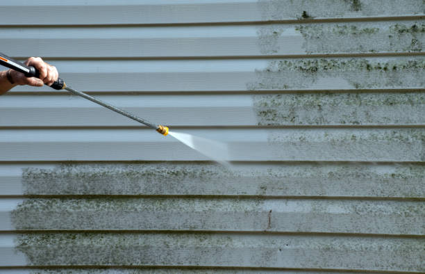 Best Driveway Pressure Washing  in Justin, TX